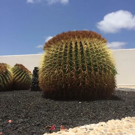 Panelos B1 Apartmán *