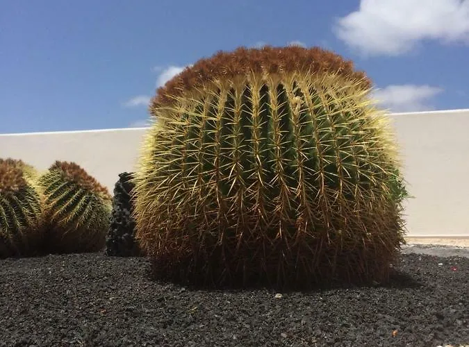 Panelos B1 Apartament *