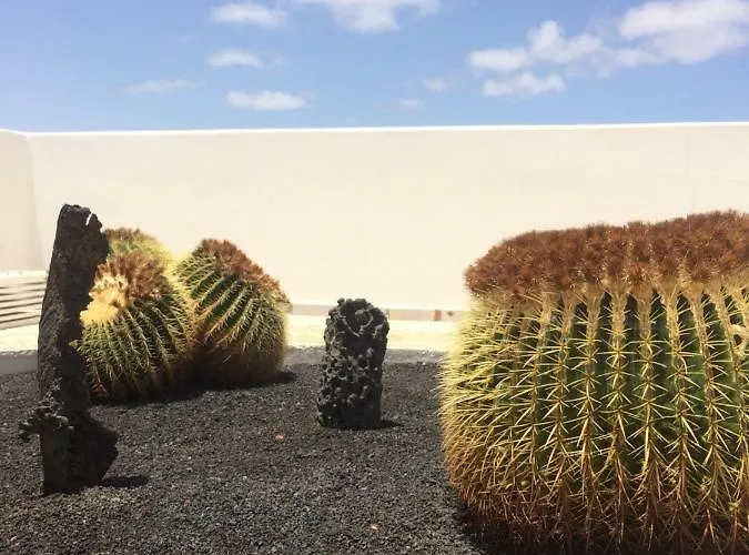 Panelos B1 * 卡门港