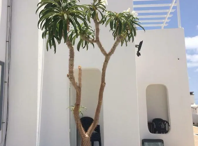 Panelos B1 * Puerto del Carmen (Lanzarote)